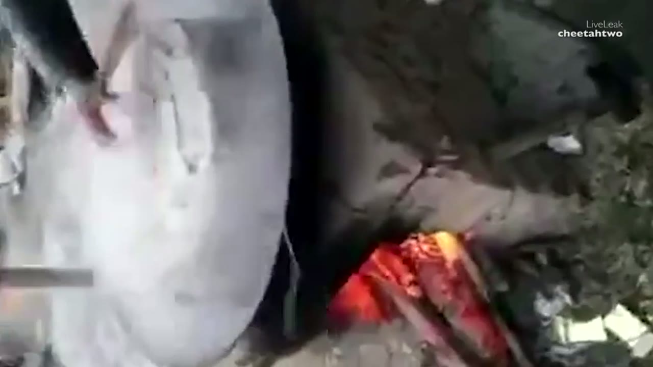 Dog being boiled alive — video thumbnail for BG_1024x576_MP4_4108157778786169715.mp4